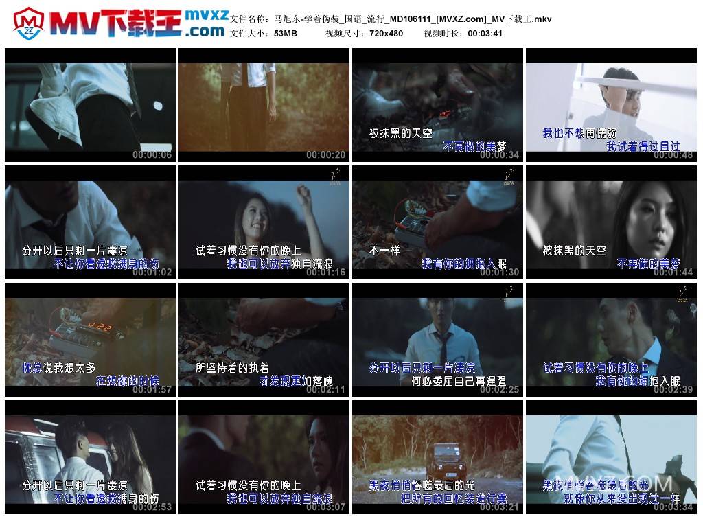 马旭东-学着伪装_国语_流行_MD106111
